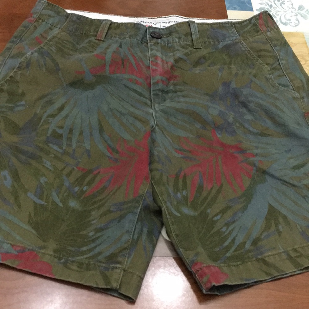 American Eagle Outfitters shorts. Men’s size M